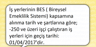 250 Personel üstü Personeli Olanlar Bireysel Emeklilik Sistemine Ne Zaman Geçecekler