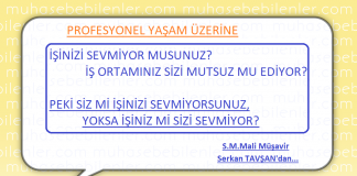 Profesyonel Yasam Uzerine