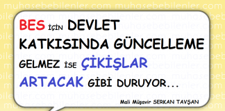 bes icin devlet katkisi