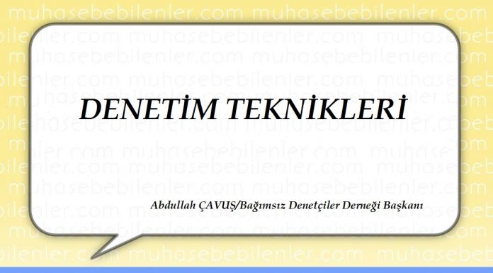 DENETİM TEKNİKLERİ