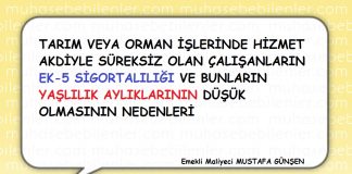 Tarım veya Orman İşlerinde Hizmet Akdiyle Süreksiz Olan Çalışanların Ek-5 Sigortalılığı ve Bunların Yaşlılık Aylıklarının Düşük Olmasının Nedenleri