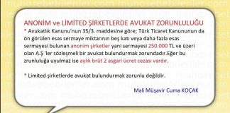 A.S. VE LTD LERDE AVUKAT ZORUNLULUGU