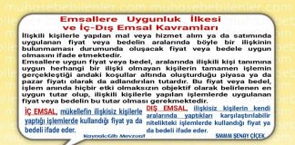 EMSALLERE UYGUNLUK İLKESİ