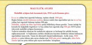 MALULLUK AYLIGI