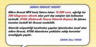 MİKRO İHRACAT NEDİR