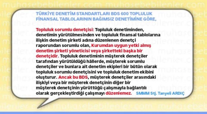 TÜRKİYE DENETİM STANDARTLARI BDS 600 TOPLULUK FİNANSAL TABLOLARININ BAĞIMSIZ DENETİMİNE GÖRE