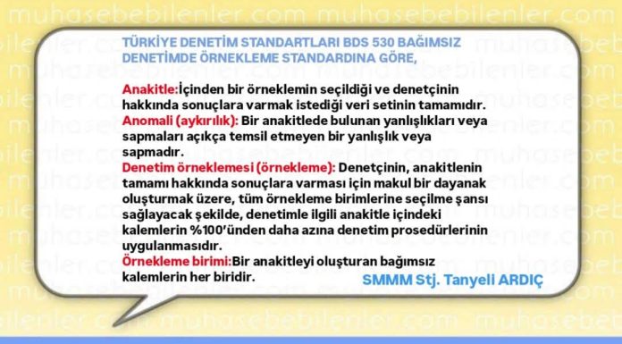 TÜRKİYE DENETİM STANDARTLARI BDS 530 BAĞIMSIZ DENETİMDE ÖRNEKLEME STANDARDINA GÖRE